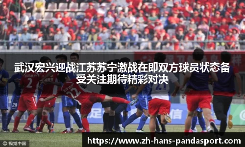 武汉宏兴迎战江苏苏宁激战在即双方球员状态备受关注期待精彩对决